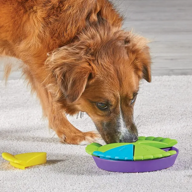 Brightkins – Slice-O-Pie 20cm – Ale Ciacho zabawka na przysmaki