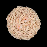 Łapsie Filet z kurczaka w bulionie z krewetką 80g - 2