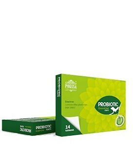 Pokusa – Probiotic GL FORTE – Probiotyk dla psa