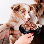 Perro – Gourmet Junior 800g – Jeleń z gruszką – Monobiałkowa formuła dla szczeniąt wszystkich - 2