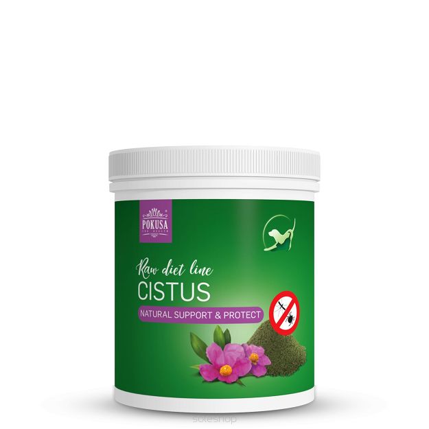 Pokusa - RawDietLine - Czystek - 100g