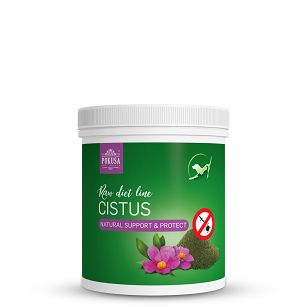 Pokusa - RawDietLine - Czystek - 100g